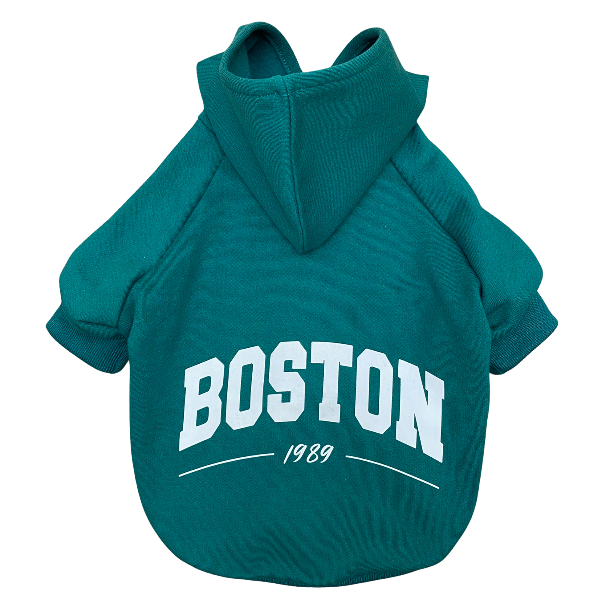 Hoodie Boston