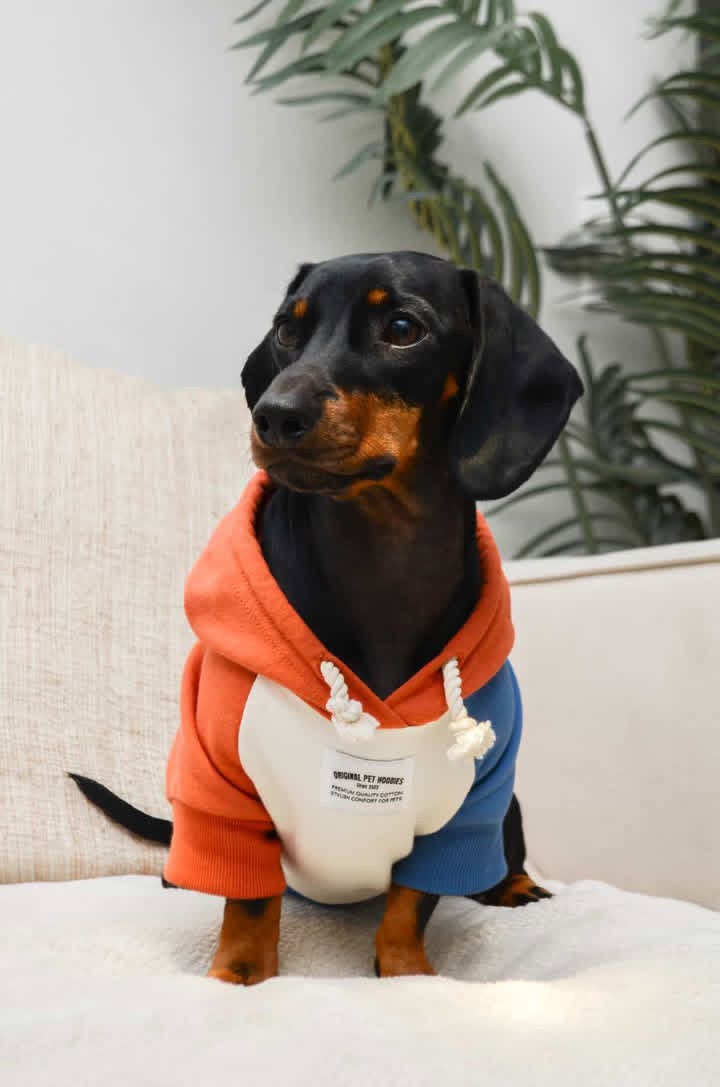 Hoodie Dunas