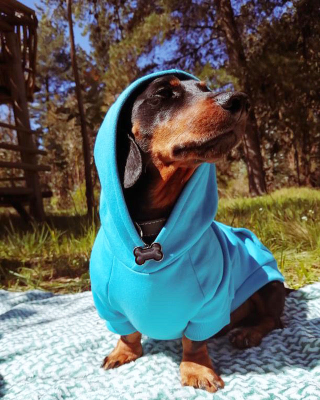 Hoodie Calipso L Salchicha