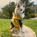 Hoodie Bosque