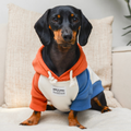 Hoodie Dunas