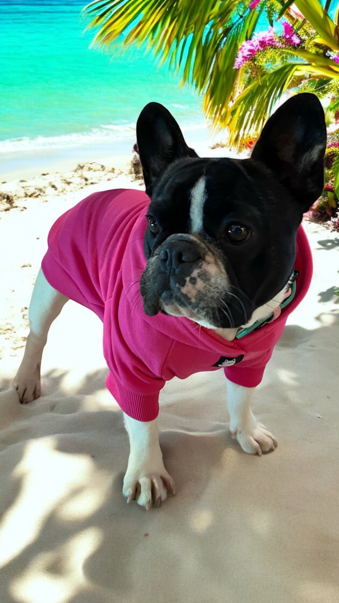 Poleron para mascota color fucsia