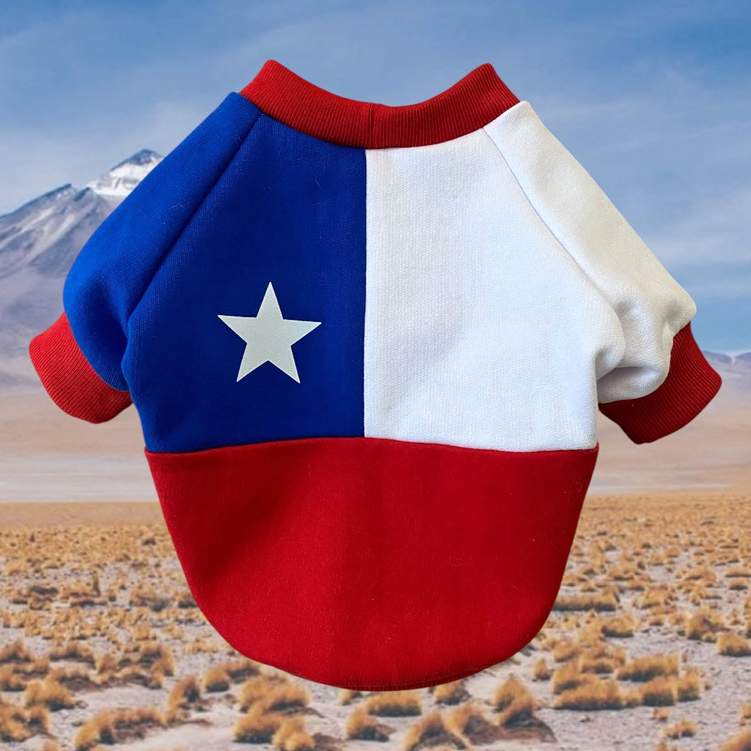 Hoodie Modelo Chile S/Capucha