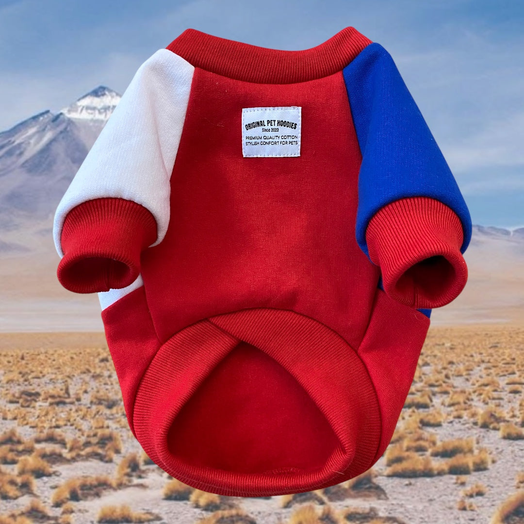 Hoodie Modelo Chile S/Capucha