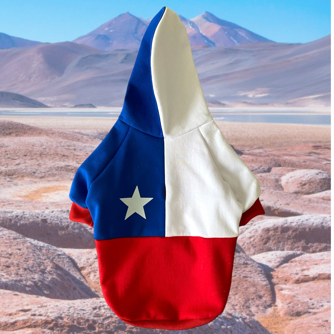 Hoodie Modelo Chile