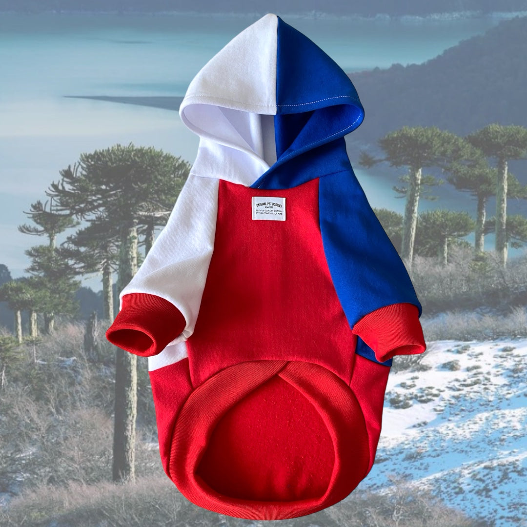 Hoodie Modelo Chile