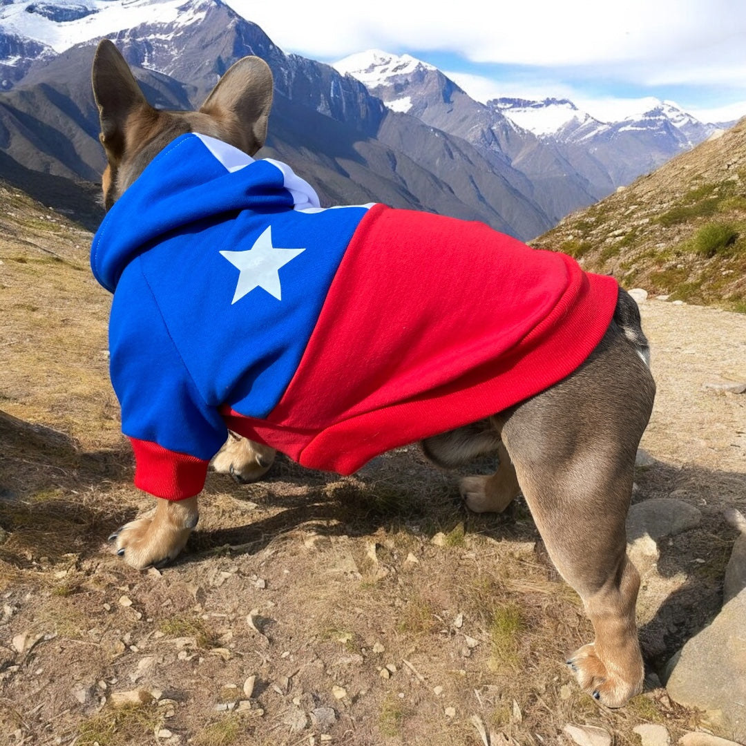 Hoodie Modelo Chile