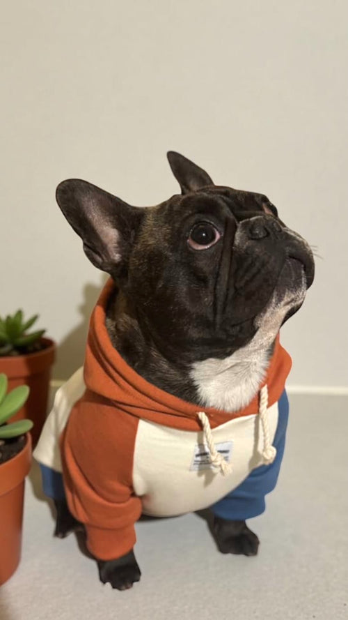 Hoodie Dunas