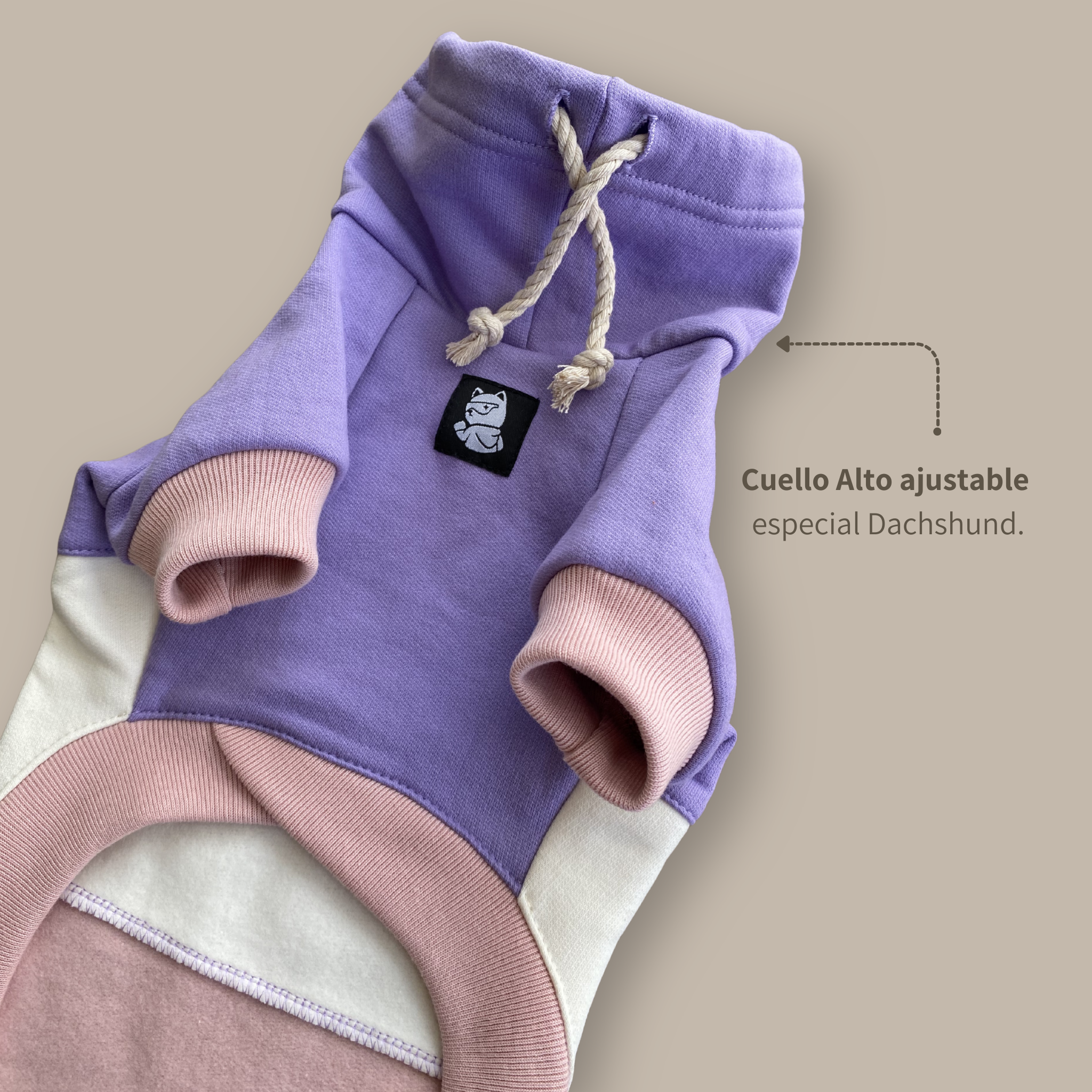 Lavender Blush Dachshund