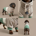 Olive Sand Dachshund